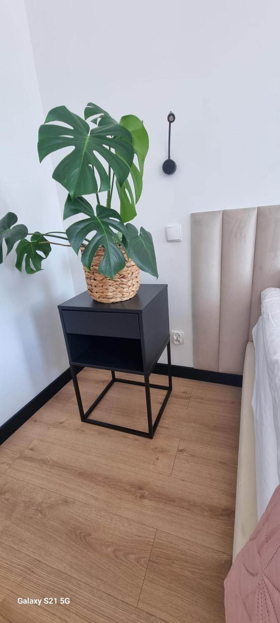 Apartament Moje Dabrowno Exterior photo